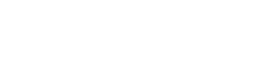 logo img