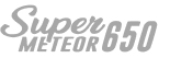 logo img