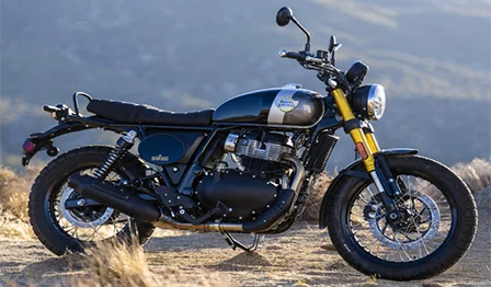 Bear 650