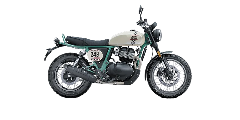 Bear 650