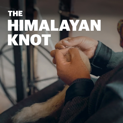 The Himalayan Knot