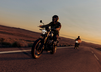 Bear 650 Gallery Images