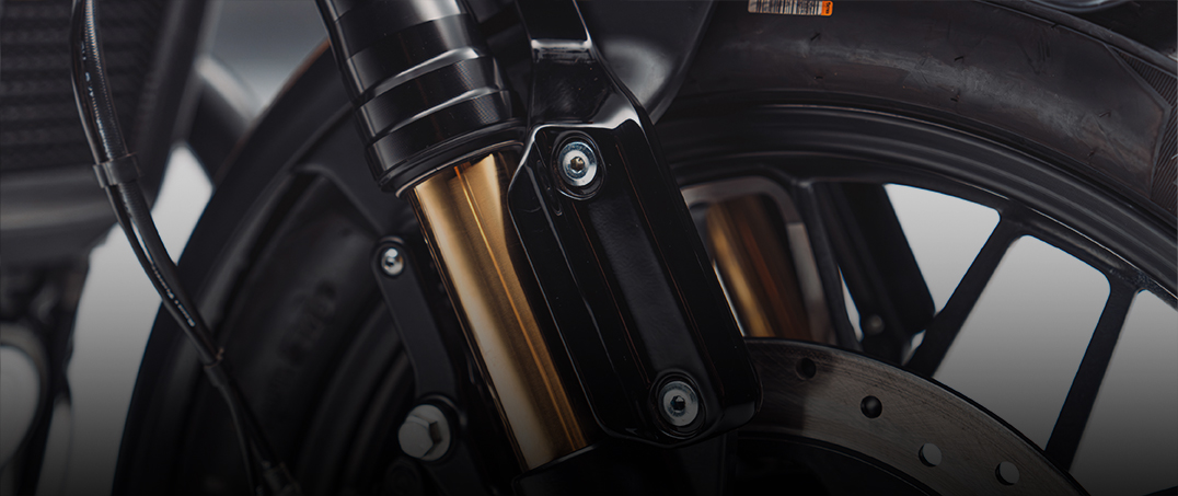 Gold inner fork tubes